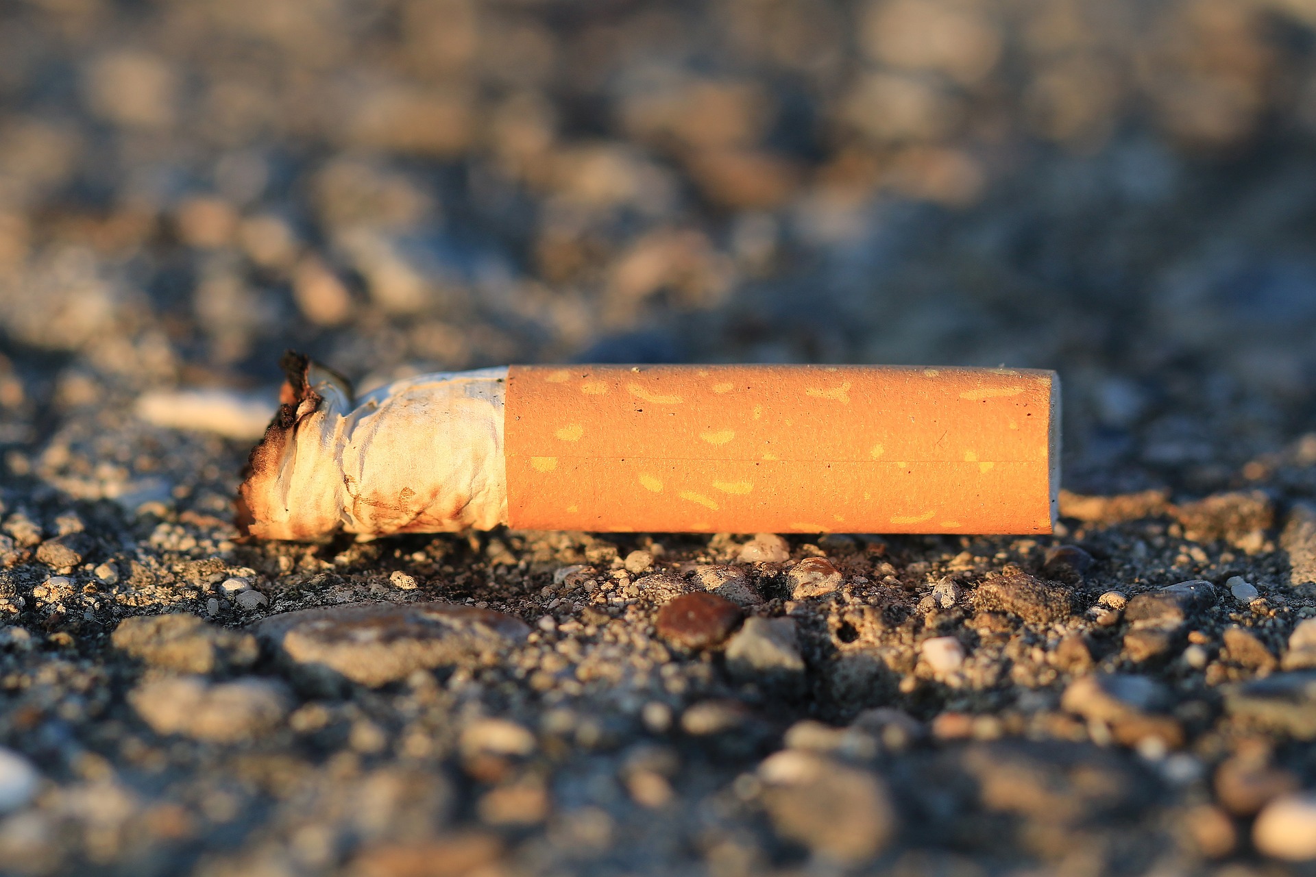 Você sabia que bitucas de cigarro são recicláveis?